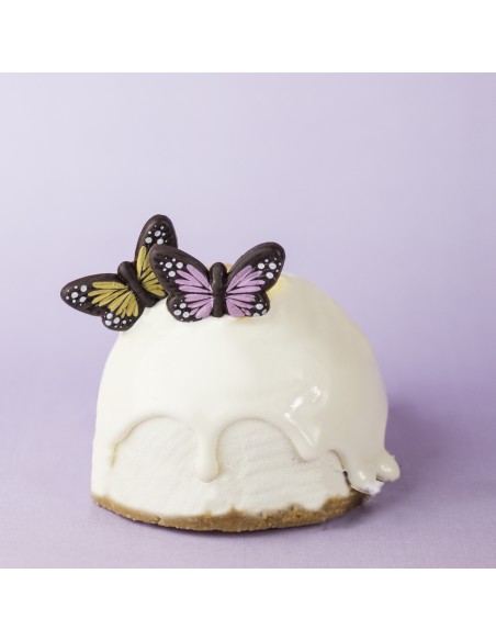 MINI MARIPOSA DELIAS