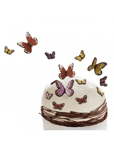 MARIPOSA NICEA