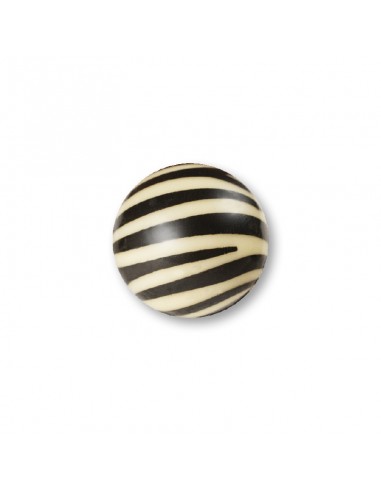 BOLA ZEBRA